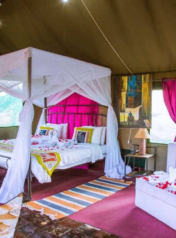 12-Day Ultimate Tanzania Luxury Safari & Zanzibar Escape
