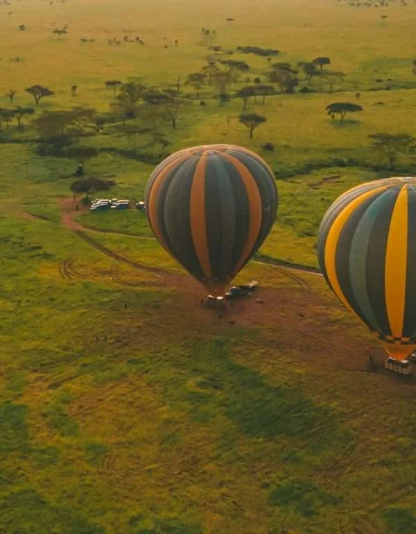 Altaika safari package