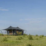 Mara Mara Tented Lodge accommodation photo 4