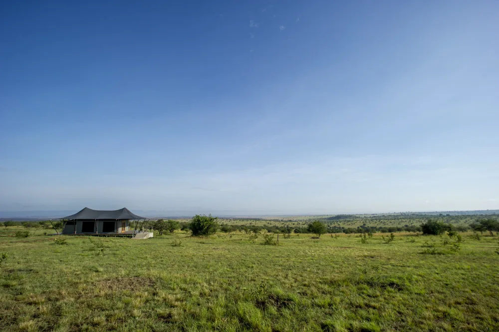Mara Mara Tented Lodge accommodation photo 5