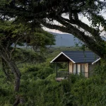 ngorongoro lion’s paw accommodation photo 4