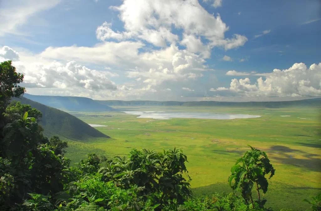 Ngorongoro Lodge Melia Collection accommodation photo 3