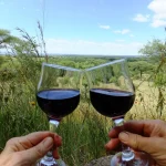 Sangaiwe Tented Lodge accommodation photo 4