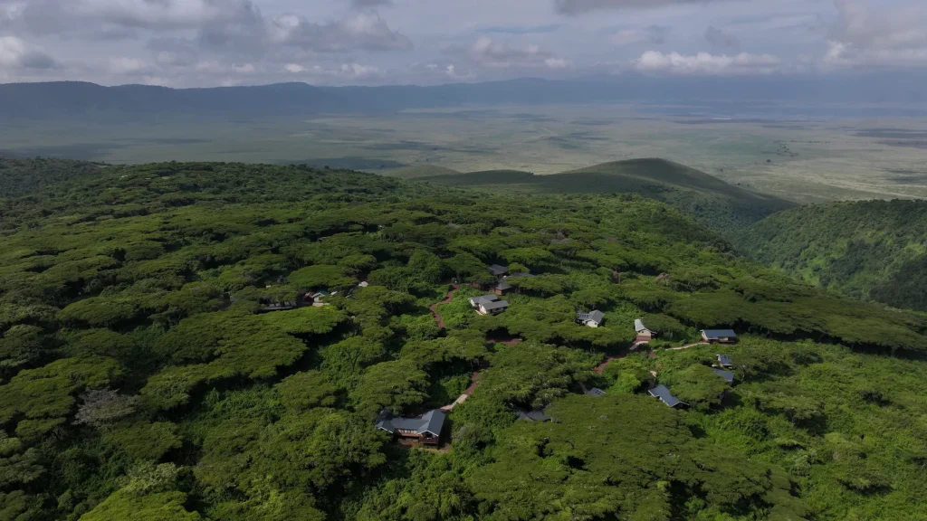 Serengeti Sametu Camp accommodation photo 3