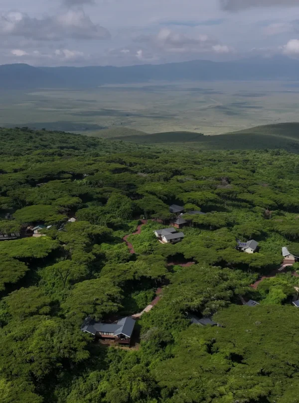 Serengeti Sametu Camp accommodation photo 3