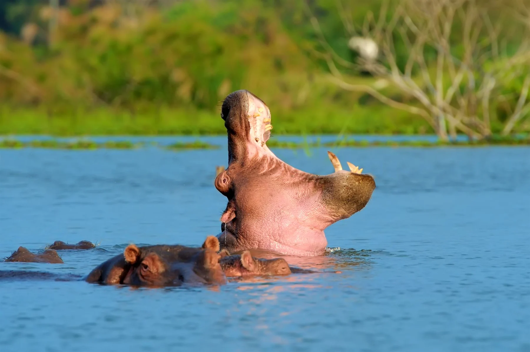 SAF-03 Tanzania adventure view